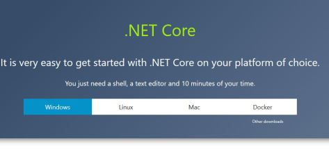 Net-Core